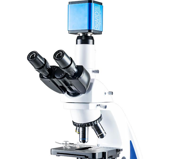 BioVID Microscope Camera on Microscope