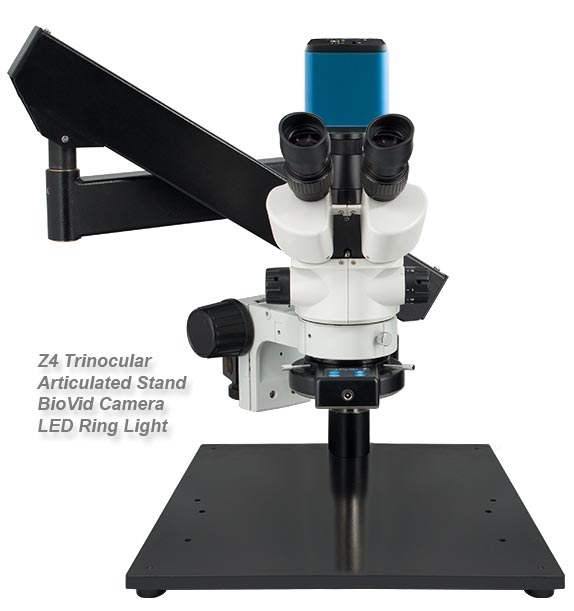 Z4 on Articulated Stand
