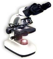 Binocular Microscope