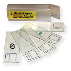 Set of 5 Prepared Slides